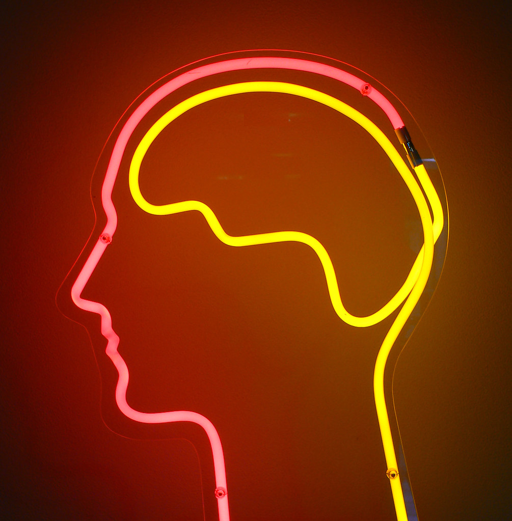 Divisive Politics and the Brain: Primordial Determinism vs. Responsible Egalitarianism Divisive Politics and the Brain: Primordial Determinism vs. Responsible Egalitar