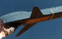 Democracy and Regulating Autonomous Weapons: Biting the Bullet while Missing the Point? Democracy and Regulating Autonomous Weapons: Biting the Bullet while Missing the