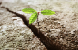 Building Resilient Environments at all Levels Building Resilient Environments at all Levels