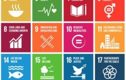 Partnerships Essential for the UN SDGs to Transform Lives