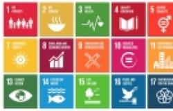 Using the Sustainable Development Goals as a Weapon Against Populism 