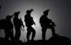 Afghanistan: Troop levels, Timelines and Political Reform in AfghanistanqAfghani