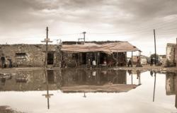 The Distribution of Wealth- Growing Inequality? The Distribution of Wealth- Growing Inequality?