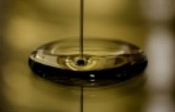 Global oil and the future of OPEC Global oil and the future of OPEC