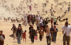 Seven Reasons why Environmentalists (should and do) care about Refugees Seven Reasons why Environmentalists (should and do) care about Refugees