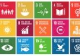 Using the Sustainable Development Goals as a Weapon Against Populism 