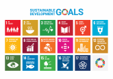 GELI Stories – How to get Early Childhood Development into the SDGs (with a bit of help from Shakira)