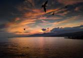 Beyond Independence or Submission: A Third Path for the Taiwan Strait Beyond Independence or Submission: A Third Path for the Taiwan Strait