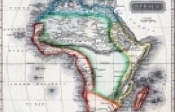 Africa and the G20 - A Summit of Contradictions Africa and the G20 - A Summit of Contradictions