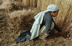 Women’s Equality will not come after the Environmental Revolution Women’s Equality will not come after the Environmental Revolution
