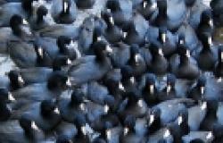 The World is in Economic, Political and Environmental Gridlock – Here’s Why The World is in Economic, Political and Environmental Gridlock – Here’s Why