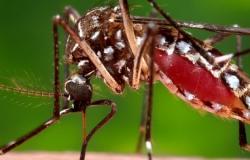 Getting Schooled About Zika, Ebola-Style Getting Schooled About Zika, Ebola-Style