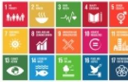 Using the Sustainable Development Goals as a Weapon Against Populism Using the Sustainable Development Goals as a Weapon Against Populism