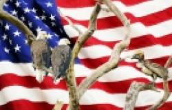Illusions and Dangers in Trump's "America First" Policy: An Interview With Economist Robert Pollin Illusions and Dangers in Trump's "America First" Policy: An Interview With Econo