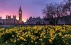 Why the UK’s Hung Parliament is an Opportunity for Constructive Europeans Why the UK’s Hung Parliament is an Opportunity for Constructive Europeans