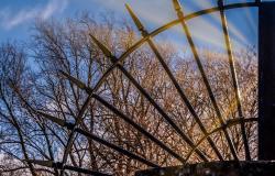 Policy Approaches Addressing the Ongoing Humanitarian and Environmental Consequences of Nuclear Weapons: A Commentary Policy Approaches Addressing the Ongoing Humanitarian and Environmental Consequences of Nuclear Weapons: A Commentary