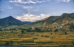 Afghanistan and the way forward: Incorporating indigenous knowledge into policymaking Afghanistan and the way forward: Incorporating indigenous knowledge into policymaking