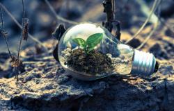 Shaping the Fate of Life on Earth: The Post‐2020 Global Biodiversity Framework Shaping the Fate of Life on Earth: The Post‐2020 Global Biodiversity Framework