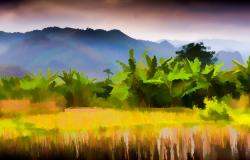 Governing the Global Land Grab Governing the Global Land Grab