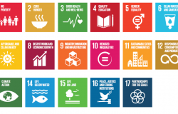 Knowledge and Politics in Setting and Measuring the SDGs: Introduction to Special Issue