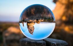 Existential Security: Towards a Security Framework for the Survival of Humanity Existential Security: Towards a Security Framework for the Survival of Humanity