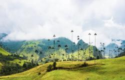 Indigenous autonomy and decentralization in Colombia's quest for peace Indigenous autonomy and decentralization in Colombia's quest for peace