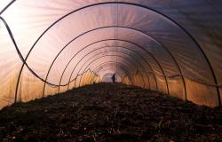 An Evolutionary Perspective on the Implementation of the United Nations Sustainable Development Goals An Evolutionary Perspective on the Implementation of the United Nations Sustainable Development Goals