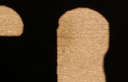 The Impact of Due Diligence Legislation on International Trade and Business: Analysis of Potential Trade-Offs