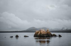 Radical Reform of the International Investment Treaty Regime: A Role for Climate Clubs? Radical Reform of the International Investment Treaty Regime: A Role for Climate Clubs?