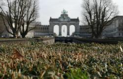 Supply chain divergence challenges a ‘Brussels effect’ from Europe's human rights and environmental due diligence laws Supply chain divergence challenges a ‘Brussels effect’ from Europe's human rights and environmental due diligence laws