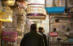 China’s Alternative Prudent Approach in Afghanistan China’s Alternative Prudent Approach in Afghanistan