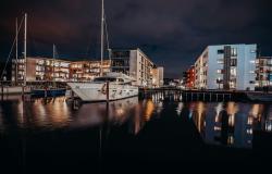 Assessing Ill-Being and Economic Stress: Negative Inputs and Civil Society in Europe