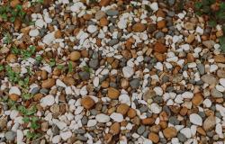 https://www.pexels.com/photo/pebbles-and-wild-plants-on-the-ground-14853752/
