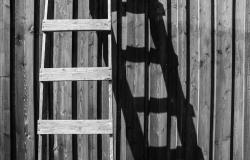 Managerialism and the Changing Politics of Inclusion Managerialism and the Changing Politics of Inclusion