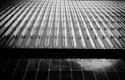 Is the WTO in Sync with the Business Community? Is the WTO in Sync with the Business Community?