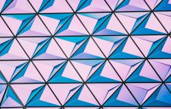 Rationality Patterns in Export Promotion Organizations