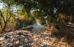 The Trojan Horse of Hybrid Governance: Corporate Power and Global Plastics Governance The Trojan Horse of Hybrid Governance: Corporate Power and Global Plastics Governance