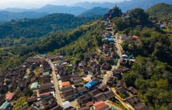 Local governance networks as public authority: Insights from Mozambique, Myanmar and Pakistan Local governance networks as public authority: Insights from Mozambique, Myanmar and Pakistan