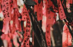 Powers of persuasion? China's struggle for human rights discourse power at the UN Powers of persuasion? China's struggle for human rights discourse power at the UN