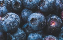 Can global trade rules cope with changing nutrition challenges? Can global trade rules cope with changing nutrition challenges?q