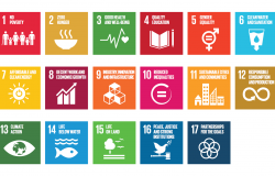 Sustainable Development Goals and their Fit with Good Governance Sustainable Development Goals and their Fit with Good Governance