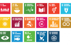 Sustainable Development Goals and their Fit with Good Governance