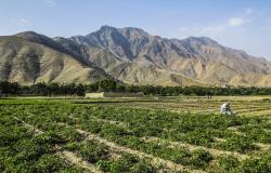 Germany’s Withdrawal from Afghanistan puts its Security Policy Back at Square One Germany’s Withdrawal from Afghanistan puts its Security Policy Back at Square One