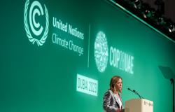 Beyond Obstruction: Rethinking the Far Right and Climate Governance Beyond Obstruction: Rethinking the Far Right and Climate Governance