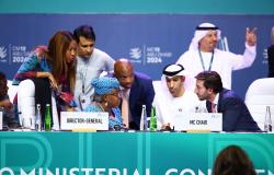 “A Rather Sober Experience”: Insights from the WTO's 13th Ministerial Conference “A Rather Sober Experience”: Insights from the WTO's 13th Ministerial Conference