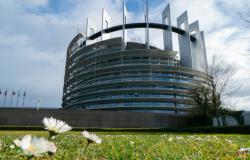 How Opposition to Gender Equality is Expressed by Radical Right MEPs in the European Parliament How Opposition to Gender Equality is Expressed by Radical Right MEPs in the European Parliament