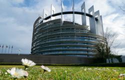 How Opposition to Gender Equality is Expressed by Radical Right MEPs in the European Parliament