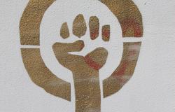 What would a feminist Internet Look Like? What would a feminist Internet Look Like?