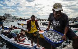 Interlinkages of Culture and Government Policy in Tackling Global Challenges: A story from Indonesian fisheries