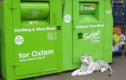 What’s to be done with Oxfam?